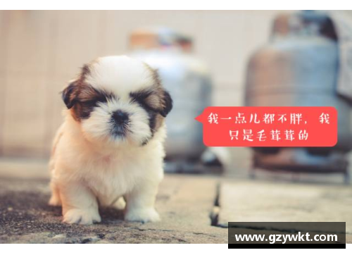 狗万官网一起盘点21世纪足坛全能兽腰Top10！