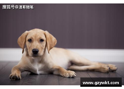 狗万官网全国抗击新冠肺炎疫情先进个人的故事：勇者的赞歌