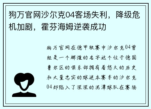 狗万官网沙尔克04客场失利，降级危机加剧，霍芬海姆逆袭成功
