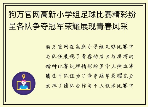 狗万官网高新小学组足球比赛精彩纷呈各队争夺冠军荣耀展现青春风采