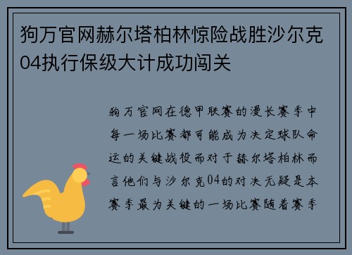狗万官网赫尔塔柏林惊险战胜沙尔克04执行保级大计成功闯关